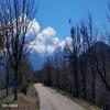 Motorcycle Road egio-chalandritsa- photo